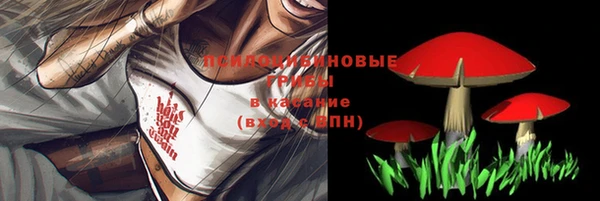 каннабис Абинск